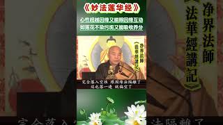 心性超越因缘又跟因缘互动 如莲花不染污泥又能从中吸收养分  净界法师《法华经讲记》采撷 学佛 [upl. by Eisnil754]