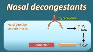 Nasal decongestant  How they act [upl. by Adnahcir]