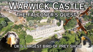 Warwick Castle  The Falconers Quest  The UKs Largest Bird Of Prey Show [upl. by Uriah541]