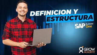 Definición y Estructura de SAP Business One [upl. by Ivad268]