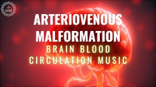 Arteriovenous Malformation  Block Brain Arteriovenous Malformations  Brain Blood Circulation Music [upl. by Gilchrist]