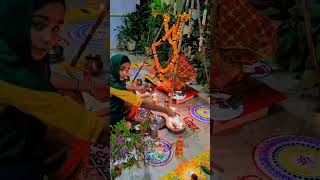 Tulsi Vivah ki badha song i hinduritual bhavnatiwari9790 🥰🥰🥰😘🙏🏻🥳🥳🤗 [upl. by Atinreb938]