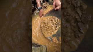 the process of extracting gold under rocks between tree roots [upl. by Velvet]