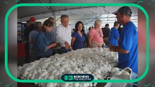 Kennett Square Mushroom Festival kicks off with extra security [upl. by Gus]