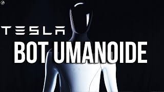 IL ROBOT UMANOIDE DI TESLA [upl. by Ahseen]