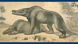 The Discovery Of Megalosaurus  The First Dinosaur [upl. by Landry]