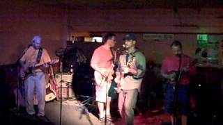 The Swamp Rattlers  Honky Tonk Women amp Rollin and Tumblin [upl. by Salakcin]