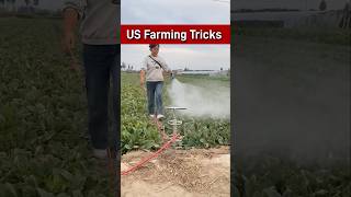 US Farming Tricks shorts agriculture farming [upl. by Apostles]