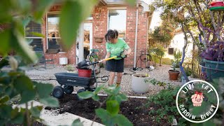 Dig amp plant  goodbye sick tree hello new leyland cypress  rose rescue 🌹 [upl. by Yuille3]