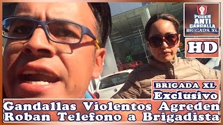 Gandallas Violentos Agreden y Roban a Brigadista LadyLadrona Video Exclusivo BRIGADA XL [upl. by Celestyna]