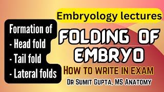 Folding of embryo  General embryology [upl. by Lewes]