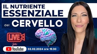 Il nutriente essenziale del cervello 🧠 🆘 [upl. by Oregolac418]