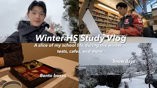 Winter Study Vlog❄️📚 Snow days physics amp econ studies cafe hopping and more [upl. by Gord]