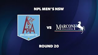 NPL Men’s NSW Round 20 APIA Leichhardt FC v Marconi Stallions FC [upl. by Anikat]