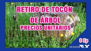 Retiro de tocón de árbol ep 8  Precios Unitarios [upl. by Clifford394]