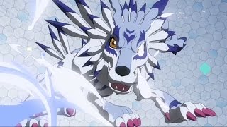 Gabumon Digivolve To Garurumon Tri English Dub [upl. by Florida219]