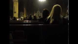 Psalm 104  Lord Send Out Your Spirit  Joe Zsigray Easter Vigil 2013 [upl. by Lleze422]