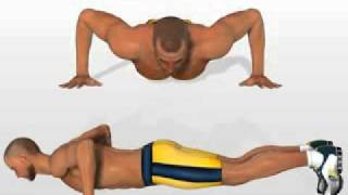 3D Intructions Exercice quotExplosive PushUpquot pour Pectoraux [upl. by Lussier]