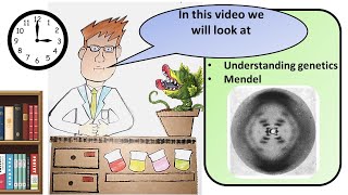 GCSE Biology The Understanding of Genetics Revision [upl. by Yanehs24]