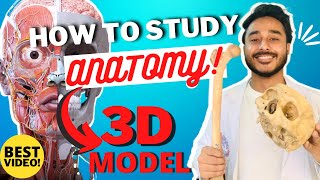 Best Strategy To Study Anatomy Effectively  How To Study Anatomy In MBBS 1st Year [upl. by Collette]