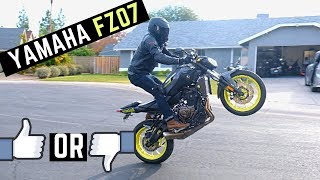 What I Like amp Dislike Yamaha FZ07 Walk Around Price Reveal Review Close Up Good Starter Bike [upl. by Niroht]