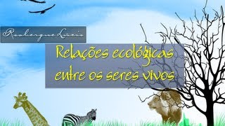 Relações Ecológicas [upl. by Earased514]