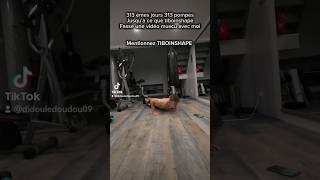 313 pompes pour TiboInShape [upl. by Hugh742]