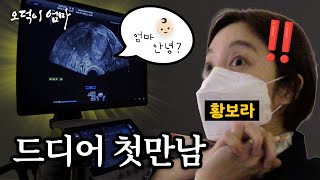 황보라 일냈다… 난임계의 꿈과 희망 ㅠㅠ ｜오덕이 엄마 EP4 난임 일기 3편 [upl. by Ynatsyd98]