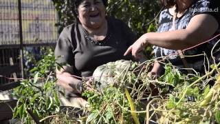 El proyecto Ecobarrio en la población 4 Álamos Maipú Chile [upl. by Maloney]