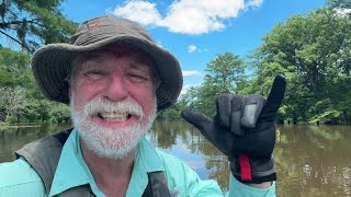 Contentnea Creek  Day 6 of 6  Grifton  Treasure of NC Paddling [upl. by Kennith]