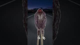 The Bigfoot of Abair Road  Bigfoot Stories [upl. by Eehtomit]