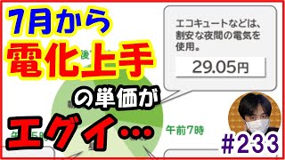 【電化上手】7月値上げ後の電気料金単価がエグイ件について解説 東京電力電気代値上げオール電化【233 ぱぱしLive切り抜き】 [upl. by Astred430]