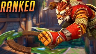 SMART PEOPLE ENJOY THESE VIDEOS  Tiberius Paladins Gameplay [upl. by Nauqaj]