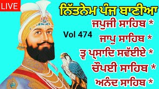 fast nitnem  panj bania da path  nitnem  nitnem panj bania  japji sahib path  Satgurpyare 474 [upl. by Naldo]