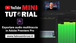 21  Adobe Premiere Pro come esportare un video con audio multicanale multitraccia [upl. by Gerta]