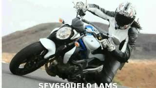 2009 Suzuki Gladius 650 superbike Top Speed [upl. by Lirrehs]