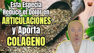 😱 ESTA ESPECIA REDUCE EL DOLOR EN LAS ARTICULACIONES Y APORTA COLAGENO 😱 [upl. by Sible]