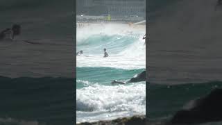 Bondi Surfing Sydney Part 3 [upl. by Anirehtak]