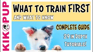 Puppy Training  What to train first [upl. by Sawyer]