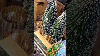 Hornbach Kerst Mini Shoplog 2024🎄 [upl. by Johppah]