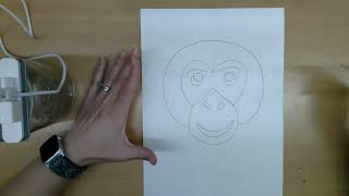 Monkey face 1 [upl. by Tabby]