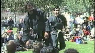 Masters Bujinkan shows techniques ninpo taijutsu [upl. by Naor]