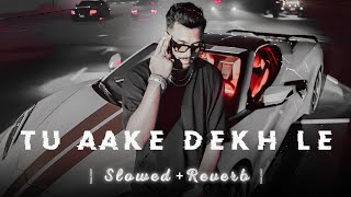 Tu Aake Dekh Le   slowed  reverb   King song  Relaxx MP3 [upl. by Orihakat946]