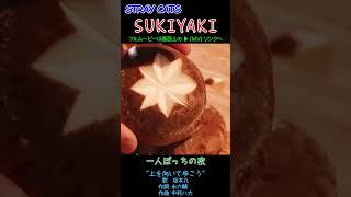 SUKIYAKI straycats [upl. by Sergias]