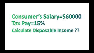 Calculate Disposable Income [upl. by Ellehcim]