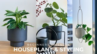 Beginners Houseplant Tour  Styling Tips Decorate With Indoor Plants 🌱 [upl. by Keiryt]