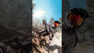 Blasting in da woods dailyride mtb mtbjump freeride [upl. by Sibyl263]