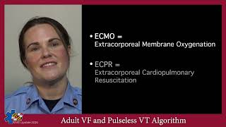 EMS Update 2024 Adult VF and Pulseless VT Algorithm [upl. by Tuckie]