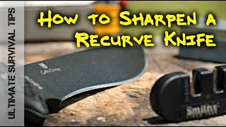 HOW to SHARPEN a RECURVE KNIFE BLADE  LIKE a BOSS [upl. by Royd]