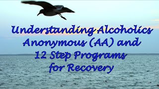 Understanding Alcoholics Anonymous AA and 12 Step Programs for Recovery [upl. by Collbaith]